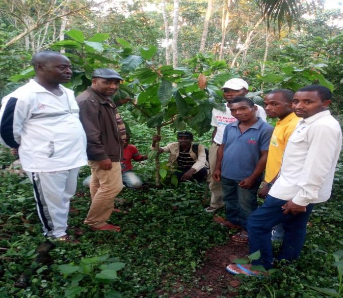 Baka Farmers Making a Difference 