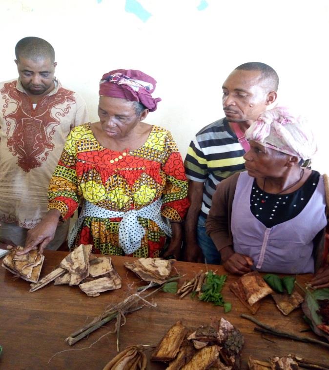 Traditional Healing and Health Care Systems 